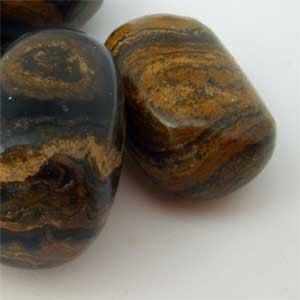 Sztromatolit