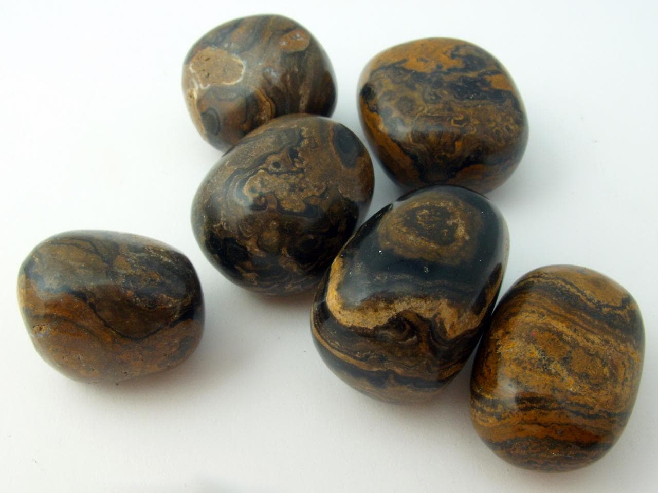 Sztromatolit Marokkő